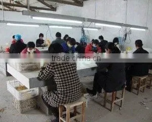 Yiwu Danyu E-commerce Limited Company company overview - view 3 thumbnail