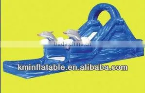 Inflatable Dolphin Water Slide thumbnail-1