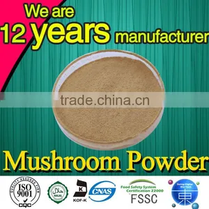 High Quality Mushroom Extract Factory Supply Mushroom Soup Powder thumbnail-1