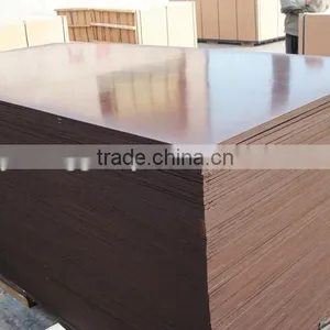 Linyi 1220*2440mm Competitive Brown Film Faced Plywood thumbnail-6
