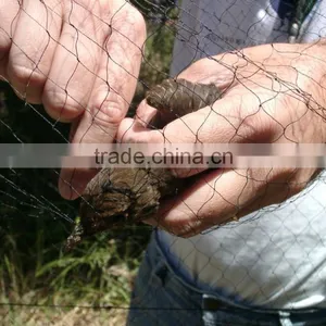 2015 New Anti-bird Netting, Anti Bird Net for Catching Birds, Nylon Anti Bird Protection Netting thumbnail-4