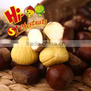 Hot Sale Hebei New Crop Fresh Chestnut Nuts thumbnail-4