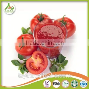 Bulk Wholesle Aseptic Tomato Paste 28-30% 36-38% Drum Canned Tomato Paste thumbnail-3