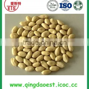 Good Quality Blanched Peanut Kernel Origin is Shandong Province thumbnail-4