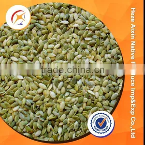 Shelled Shine Skin Pumpkin Seeds Kernels thumbnail-1