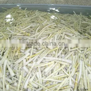Preserved Bamboo Shoot Product In Drum thumbnail-1