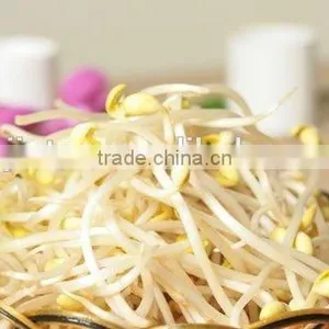Automatic Bean Sprout Machine thumbnail-2