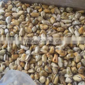 China Seafood Exporter Frozen Mussel Boiled Meat thumbnail-2