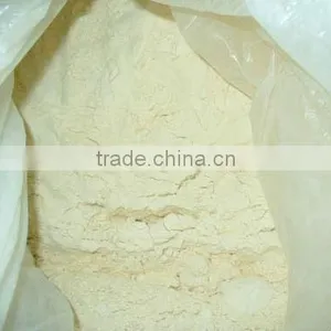 Garlic Powder Global Foods thumbnail-1