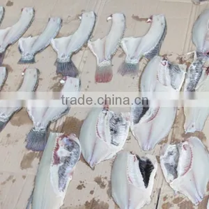 FGB-180 Medium Size Fish Machine Salmon Cuttting Machine CE Approved WhatsApp :+86 18819432901 thumbnail-6