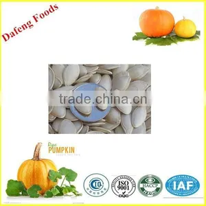 Wholesale China Shine Skin Pumpkin Seeds thumbnail-1