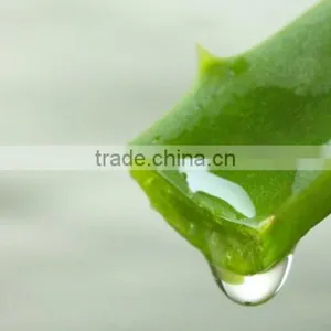 Beauty Products Aloe Vera Gel. thumbnail-2