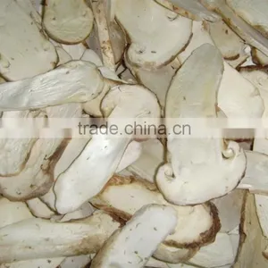 Food Processing Machine Food Vacuum Freeze Drying Machine thumbnail-5