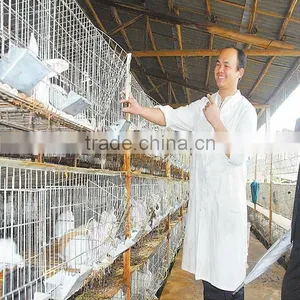Animal Farm, Poultry Equipment thumbnail-1