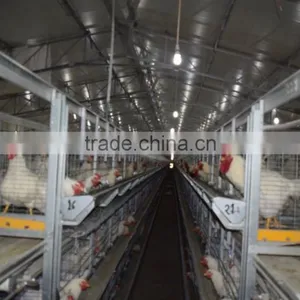 Battery Cages thumbnail-3