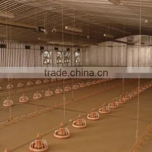Poultry Farm Equipment for Raising Chickens on Ground thumbnail-1