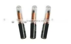 LF RFID Glass Tag thumbnail-1