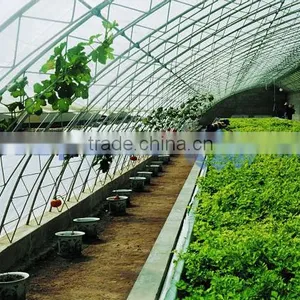 Tunnel Plastic Greenhouse Film Agriculture thumbnail-4