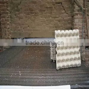 Waterproof Paper Egg Tray 120 Pcs/bundle thumbnail-1