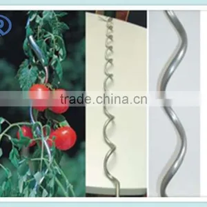 Galvanized Tomato Metal Wire Plant Support thumbnail-1