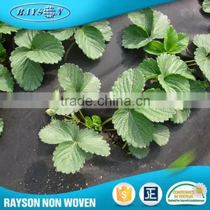 .Com Fabric Rolls Pp Spunbond Weed Control Nonwovens thumbnail-1