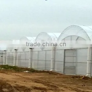 Galvanized Steel Structure Glass Cover Used Commercial Greenhouses thumbnail-5