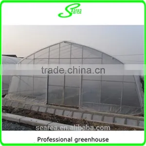 Galvanized Steel Tube Frame Greenhouse Commercial Greenhouse thumbnail-5