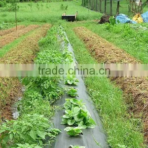 100G/M2 Weed Mats / PP Woven Fabrics thumbnail-3