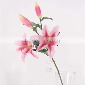 SJ11001120 Beautiful Pink Lily Flower With High Quality thumbnail-4