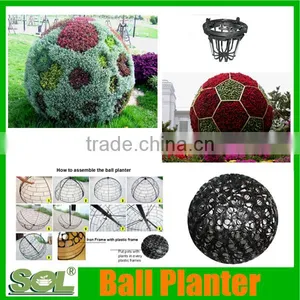Hanging Flower Ball Round Flower Ball Shape Pot Sol Gardening Cheap Plastic Flower Pots Wholesale thumbnail-4