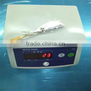 Seafood Breaded Fish Frozen thumbnail-1