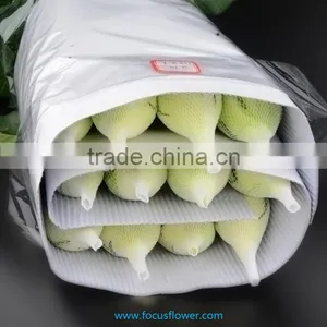 Export Fresh Cut Roses Flowers Tineke Rose Flower From Kunming thumbnail-4