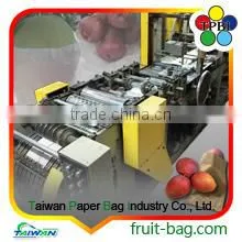 Double Layers Waterproof Mango Cover Cheap Paper Bag thumbnail-5