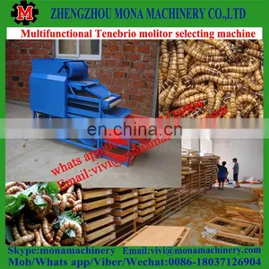 Multifunctional Separating Plant for Tenebrio Molitor, Big/small Worms, Pupa, Dead Worms thumbnail-2