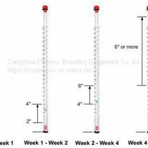Water Pressure Regulator And End Kit PH-89 thumbnail-1