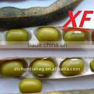 Organic Green Mung Bean thumbnail-1