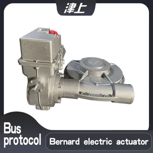 B+RS250/K28Z Angle Stroke Actuator thumbnail-1