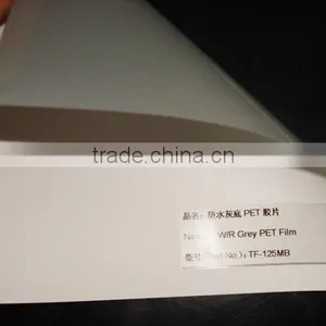 Grey Back PET Film for Display Stands, Roll up Banner, Pet Film for Inkjet Plotter, Naisi Digital thumbnail-1