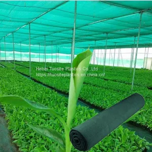 50% 50gsm Garden Farm Use Sun Shade Netting 2x100m To Thailand thumbnail-1
