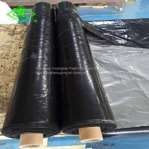 Anti Weed Plastic Mulch Film Agricultural Black Plastic Ground Cover thumbnail-3