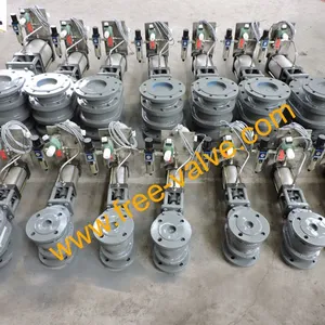 DSCN4411Pneumatic Metal Seated Double Disc Gate Valve
