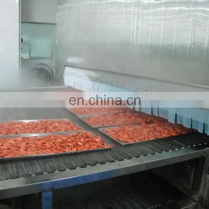 Fish Fast Freezing Machine/squid Iqf Quick Blast Freezer/tunnel Freezer thumbnail-1