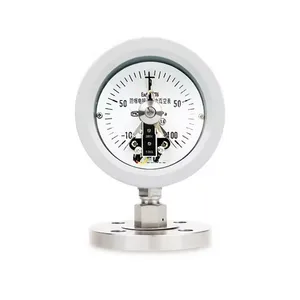 Stainless Steel Pressure Gauge With Shock-proof Diaphragm Gauge With Explosion-proof Electric Contact thumbnail-1