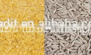 Full Automatic Artificial Rice Making Machine/Nutrition Rice Production Line/Instant Rice Processing Line thumbnail-2