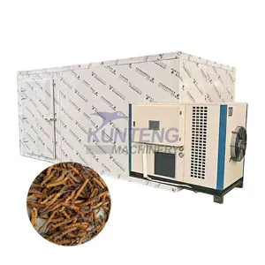 Insect Dryer Aspongopus Stink Bug Cricket Grasshopper Larvae Dryer EPC thumbnail-1