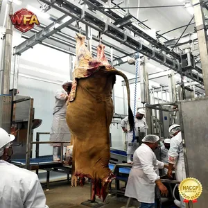 Automatic Cattle Slaughter Machine Beef Slaughterhouse Equipment Complete Abattoir Slaughtering Line Manufacturer thumbnail-2