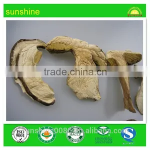 High Quality Price of White Porcini ,boletus Mushroom thumbnail-1