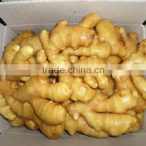 Fresh Ginger 2015new Crop thumbnail-4