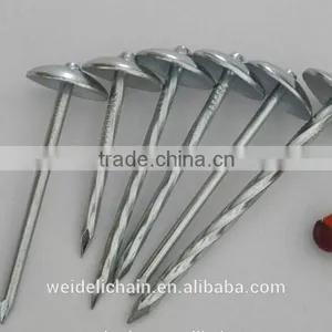 Competitive Price BWG10X2.5" Roofing Nails thumbnail-4