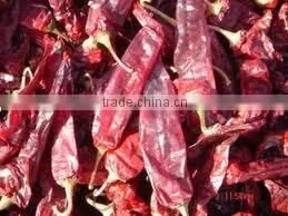 Chillies thumbnail-1